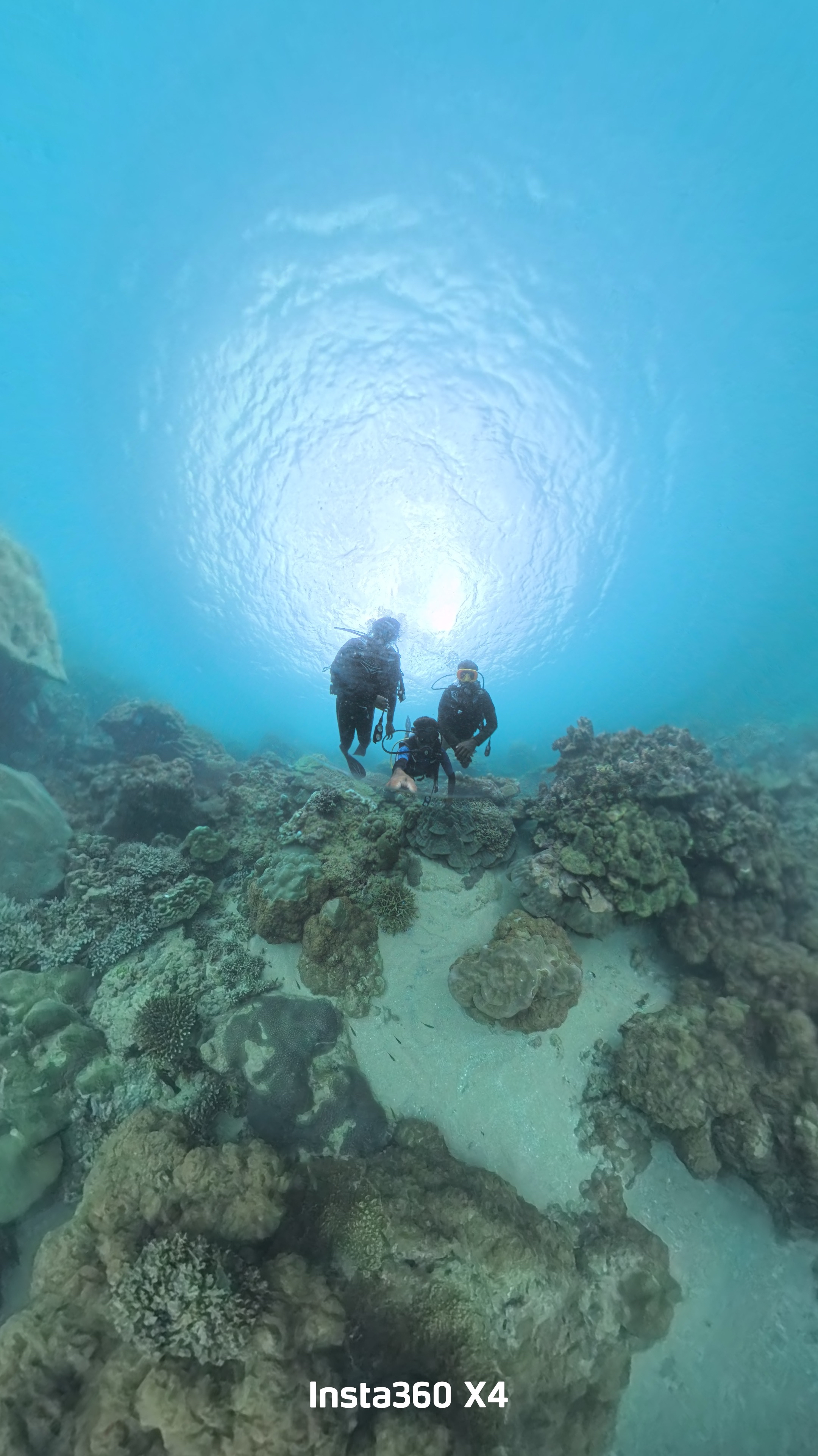 Two divers exploring underwater